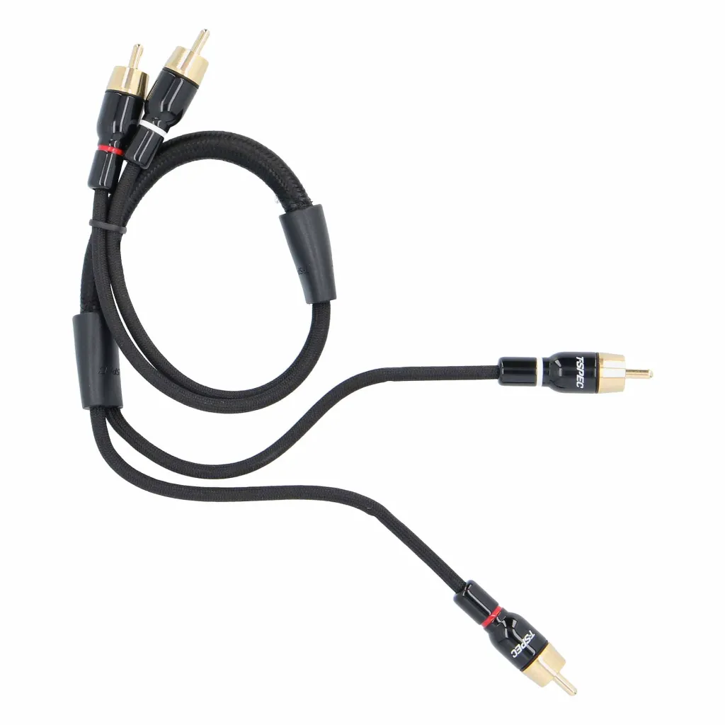 V16RCA-1-52_14.webp