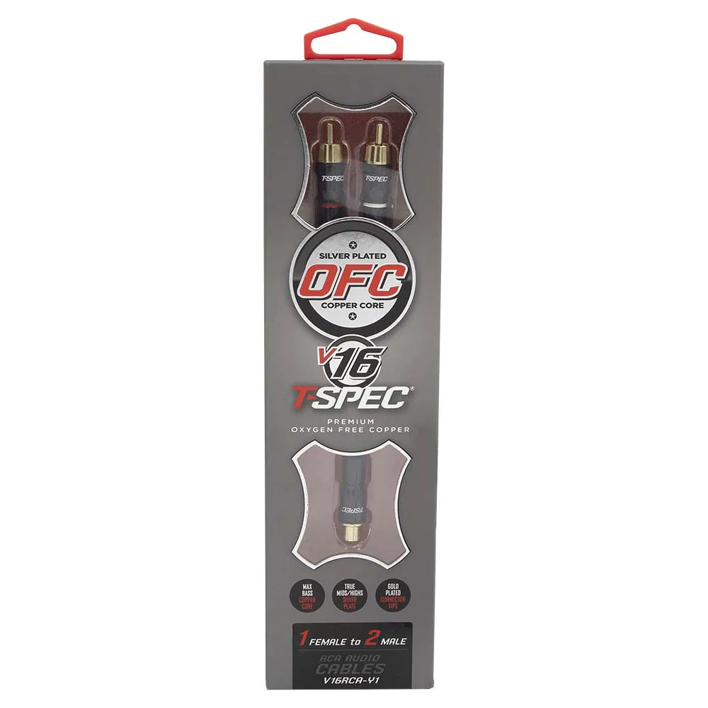 V16RCA-Y1_85.webp