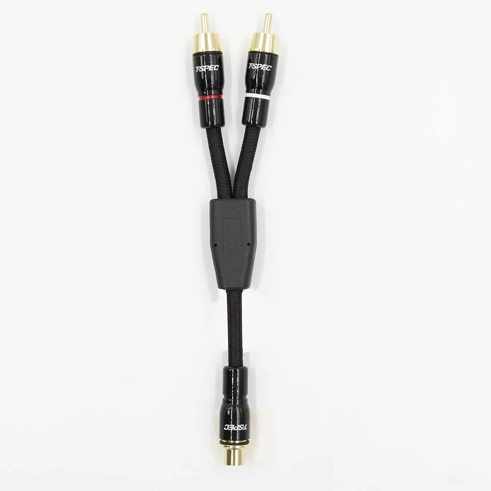 V16RCA-Y1_14.webp