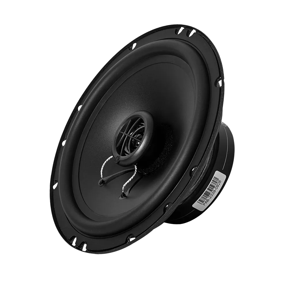 DLS_Performance_PA6_4.webp