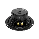 DLS_Cruise_CRPP-UW62_5.webp