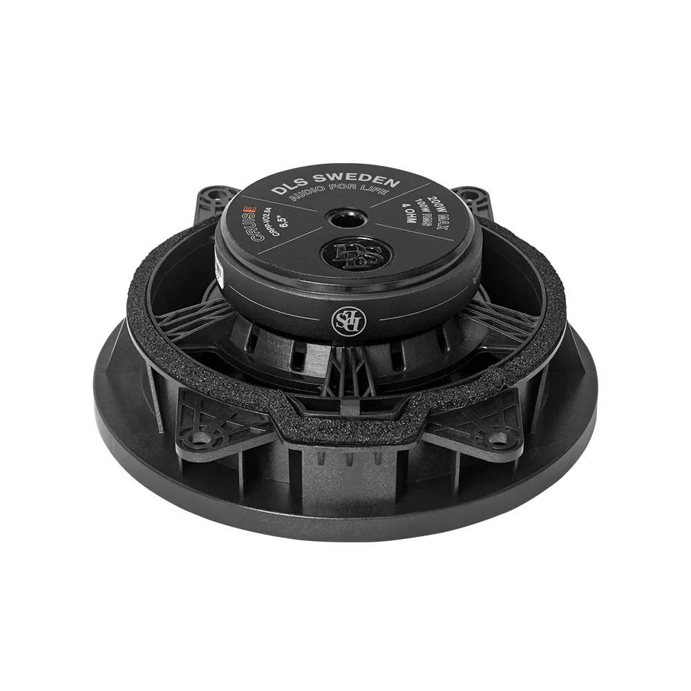 DLS_Cruise_CRPP-VO2.64_5.webp