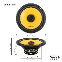 RLX65-4.webp