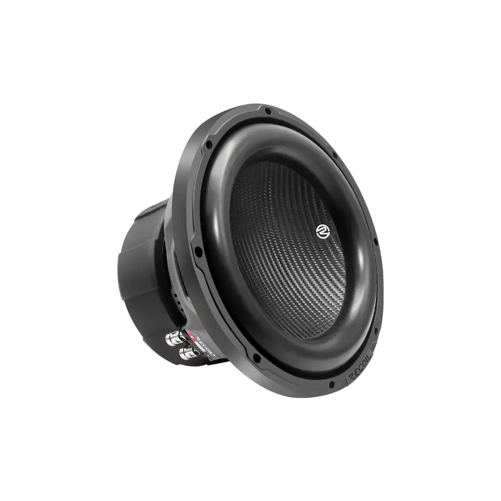 [8-INCH Dual 4-Ohm Subwoofers
RMS Power	500 Watts
Peak Power	1000 Watts
] PW8D4
