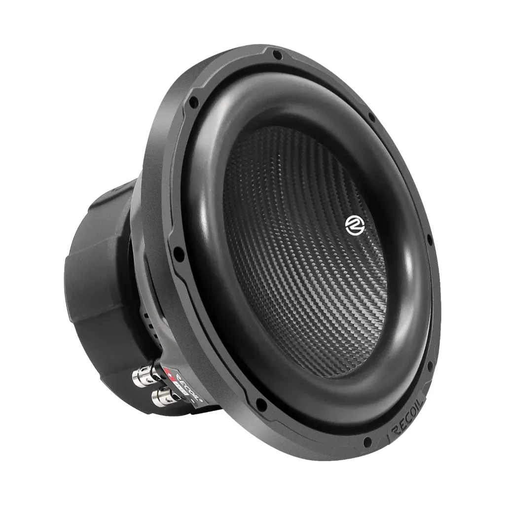 [10-INCH Dual 4-Ohm Subwoofers
RMS Power	600 Watts
Peak Power	1200 Watts
] PW10D4