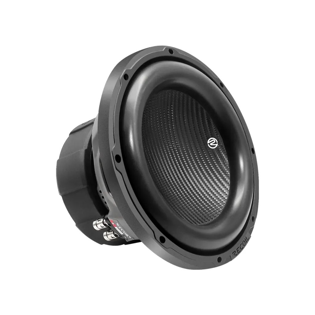 [12-INCH Dual 4-Ohm Subwoofers
RMS Power	700 Watts
Peak Power	1400 Watts
] PW12D4