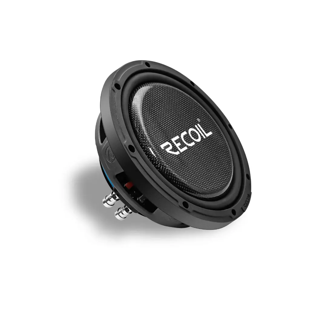 [8-INCH DUAL 4-OHM SUBWOOFER
Peak Power 500 Watts
RMS Power  250 Watts] PWS8D4